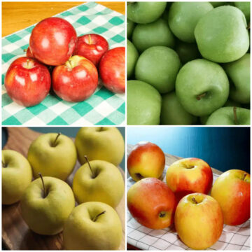 Different types of apples.