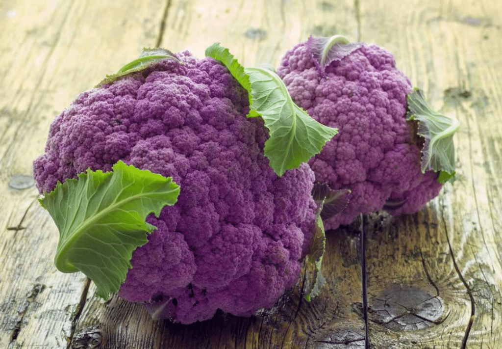 purple cauliflower a detailed guide