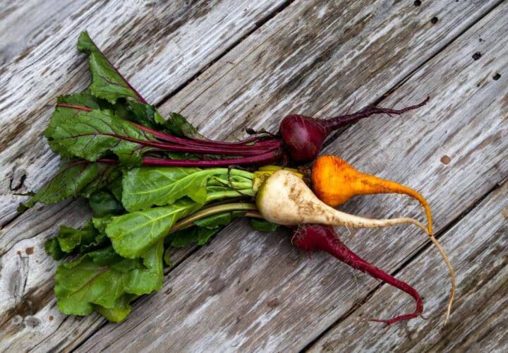What Color Is Beetroot? - Eat Your Beets