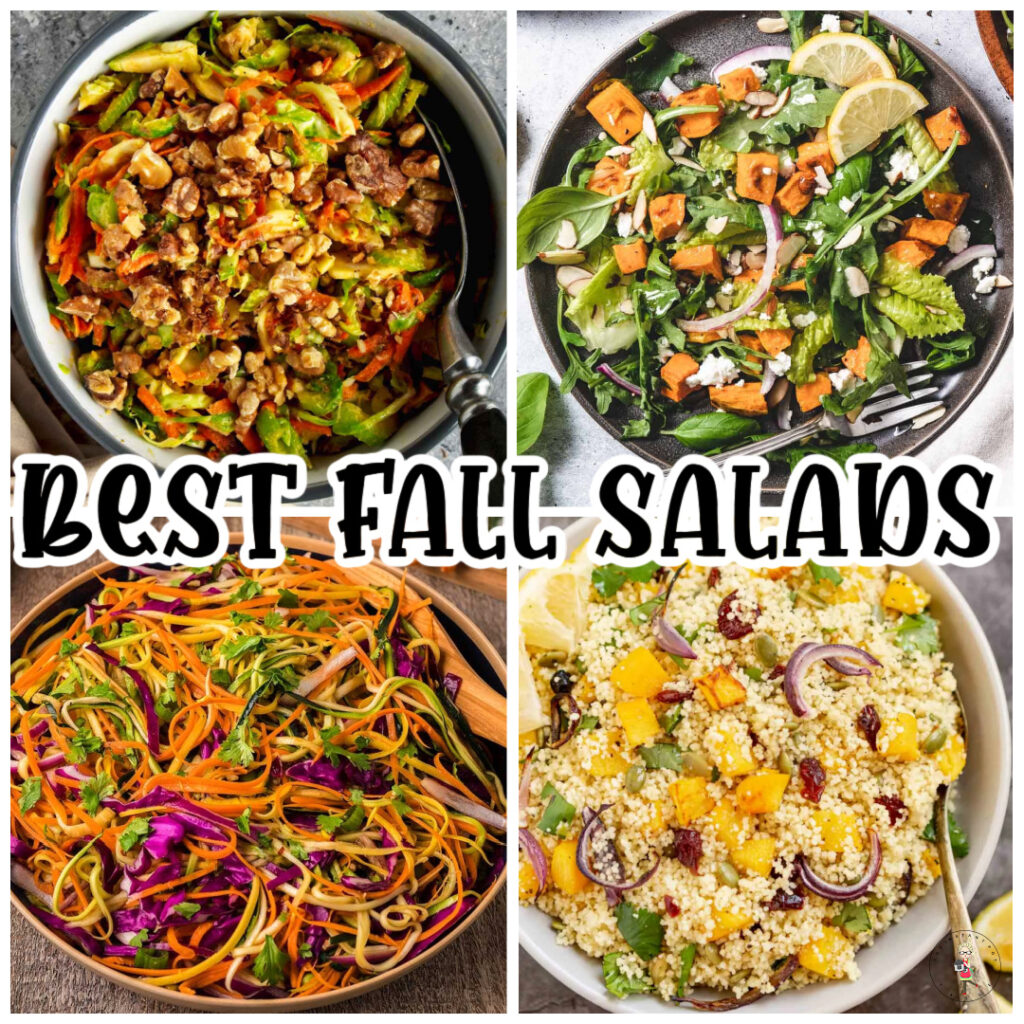 BEST FALL SALAD recipes and autumn salads to try