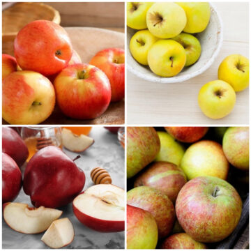 Sweetest apples.