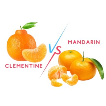 A clementine and a mandarin.