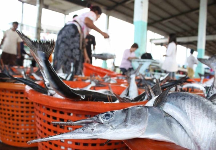 Fish Market