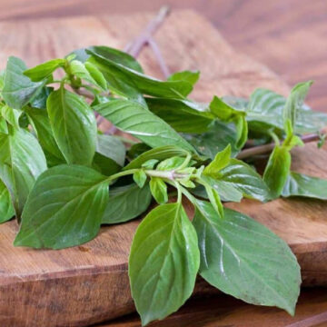 Fresh basil leaves.