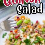 Quinoa salad being served with fork.