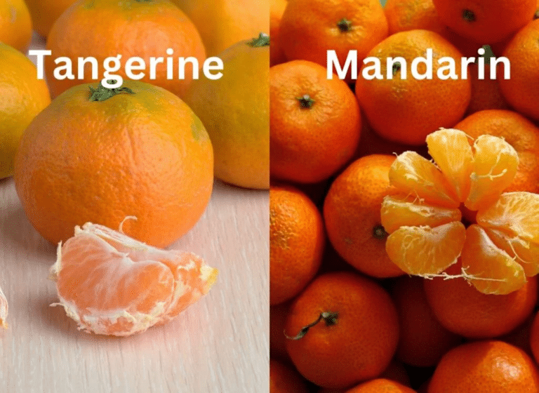 Tangerine vs Mandarin What's the Difference? Eat Your Beets