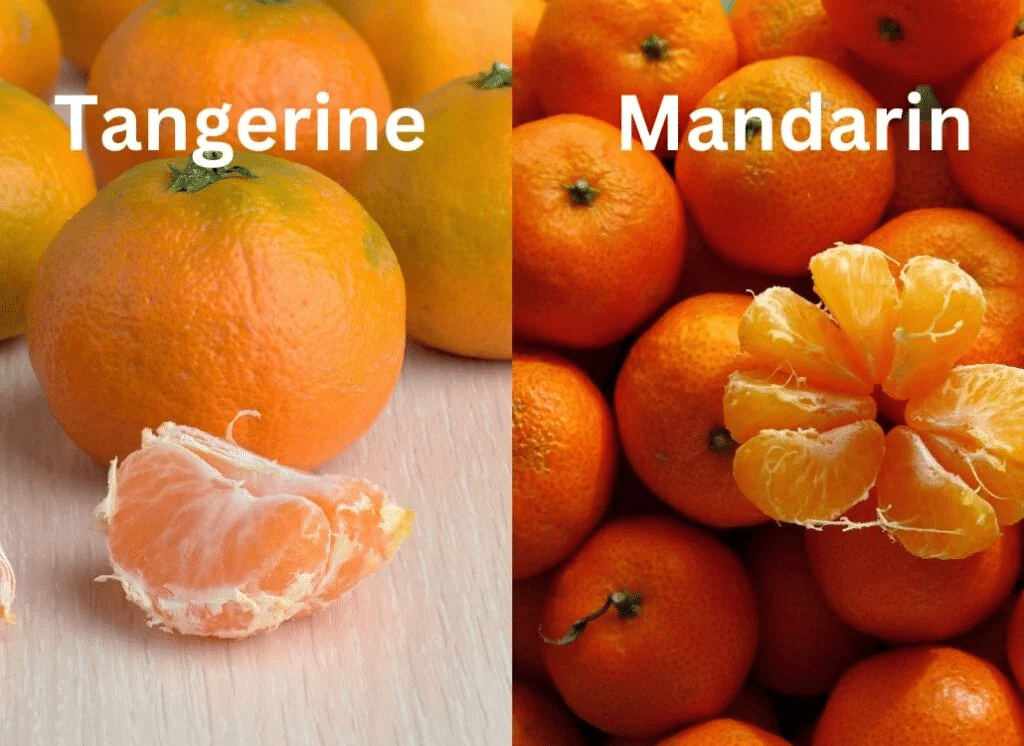 Difference Between Tangerines And Mandarins At Kelley Bishop Blog