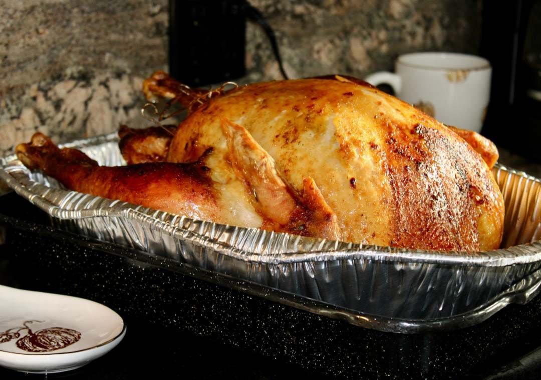 Can You Freeze Cooked Turkey Eat Your Beets