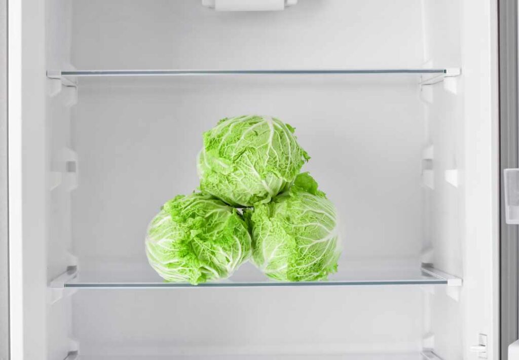How To Freeze Cabbage? Eat Your Beets