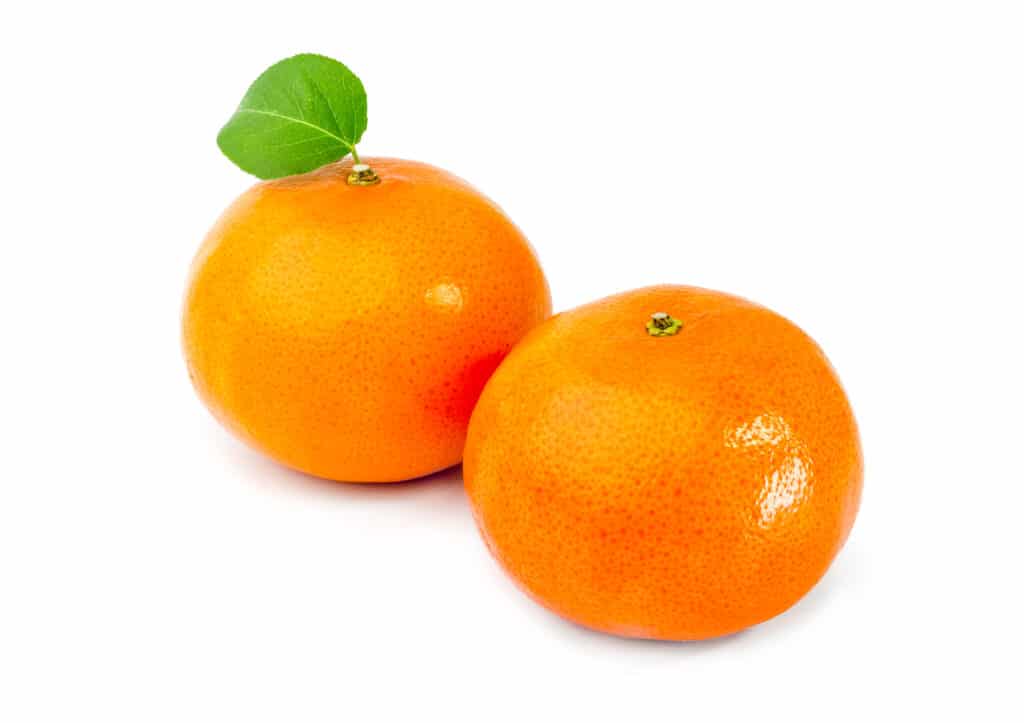 How To Freeze Oranges