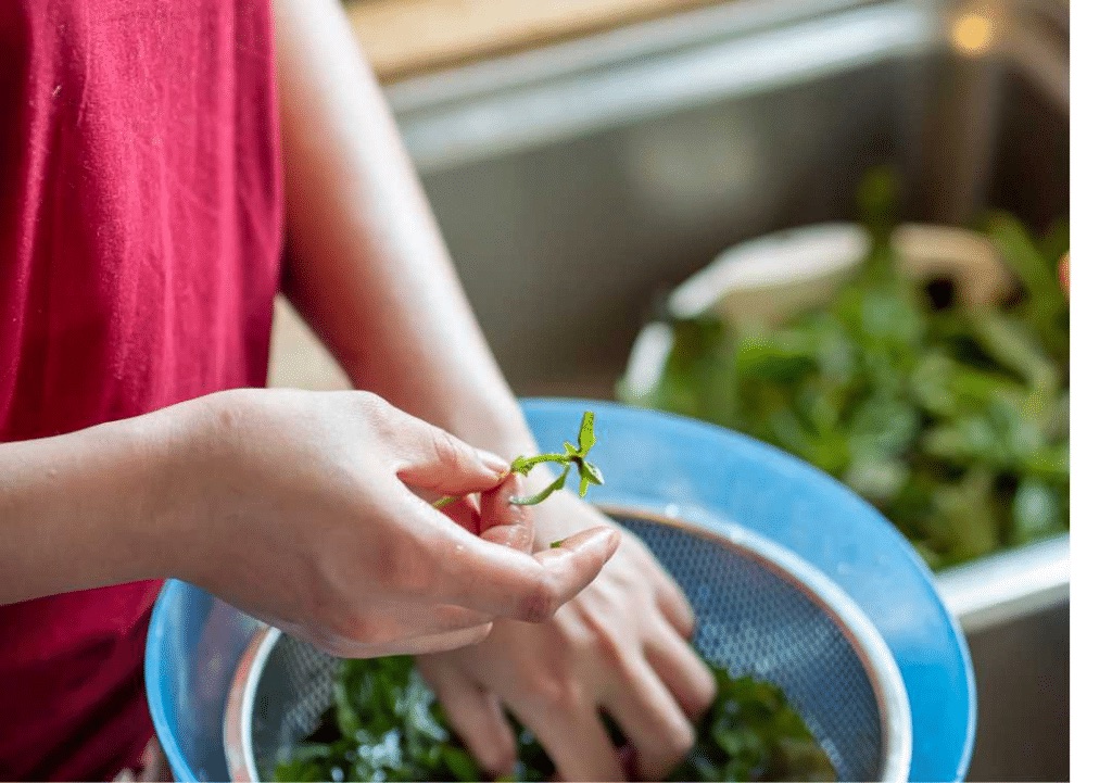 washing basil leaves.