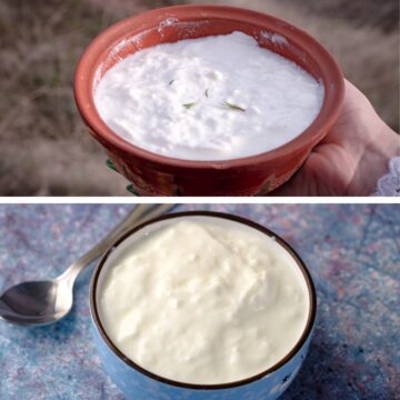 A bowl of Bulgarian yogurt and a bowl of Greek yogurt.