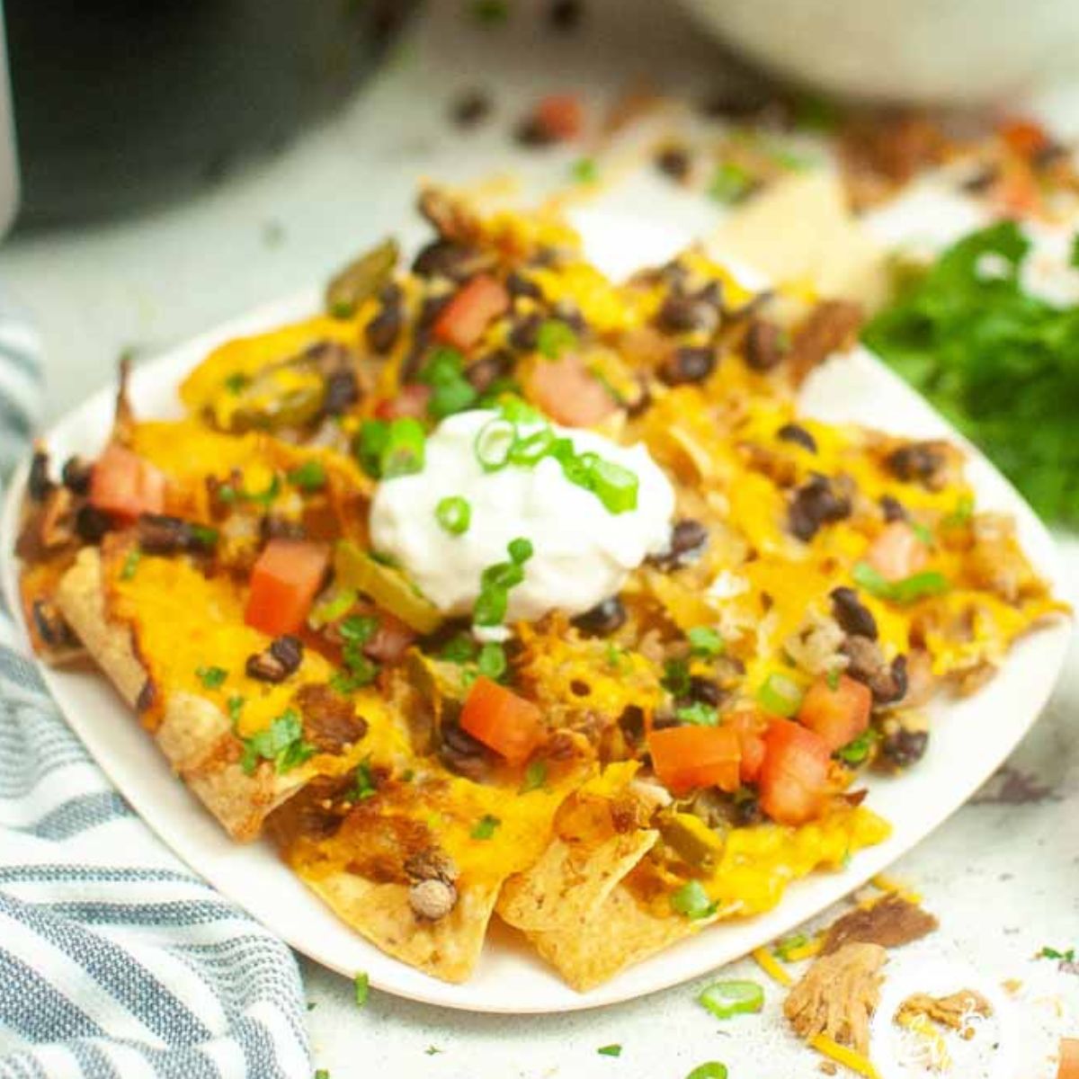 Air Fryer Nachos With Pulled Pork.