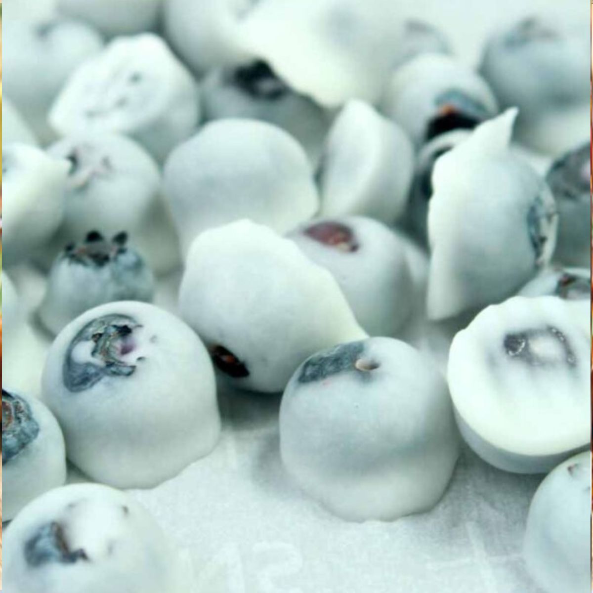 Blueberry Yogurt Bites.